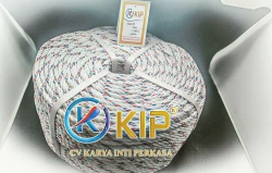 Tali PPD Danline